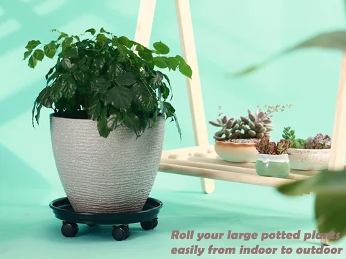 Miniatura 6 de Paquete de 5 organizadores grandes para plantas con ruedas de poliuretano, soportes rodantes de plantas de 12 pulgadas, base de rodillos de plástico