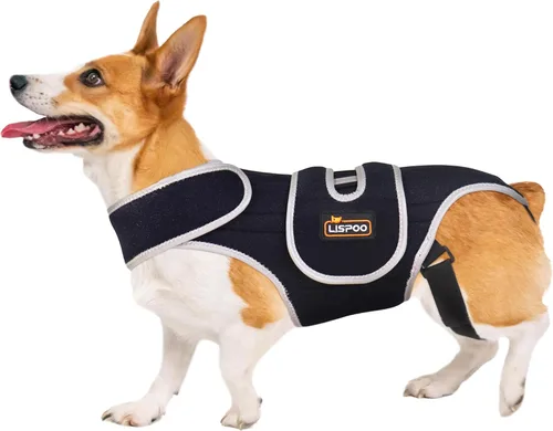 Miniatura 8 de IVDD Correa de espalda para perros con discos deslizados y herniados - Correa de espalda para Teckels y Corgis, asegurando estabilidad espinal