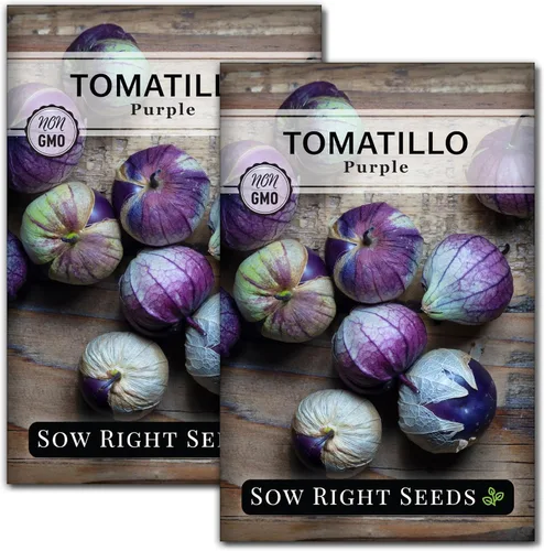 Miniatura 7 de Sow Right Seeds - Semillas de tomatillo morado para plantar - Paquete de reliquia sin OMG con instrucciones para plantar un huerto en el hogar al