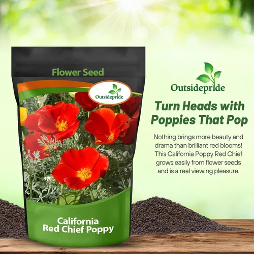 Miniatura 8 de Outsidepride Red Chief Semillas de amapola de California para plantar, 1/4 libras. Semillas anuales, tolerantes a la sequía y fáciles de cultivar