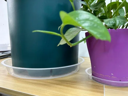 Miniatura 6 de OUPSAUI - Paquete de 4 platillos transparentes para plantas de 4, 6, 8, 10, 12, 14, 16, 18, 20, 22 pulgadas, bandejas de maceta extra grandes