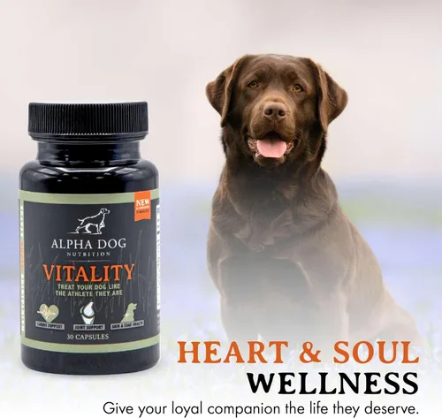 Miniatura 5 de Aceite de krill para perros – Vitality by Alpha Dog Nutrition – Reduce las alergias, picazón y desprendimiento de perros – Promueve la piel