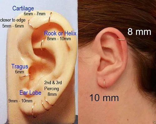 Miniatura 4 de Juego de 8 aretes de aro para cartílago de 16 G de acero inoxidable quirúrgico de 16 G con bisagras para nariz hélix tragus de 0315in 0394in