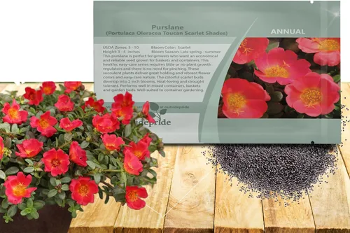Outsidepride Semillas de verdolaga escarlata para plantar, 50 unidades anuales, fáciles de cultivar, ricas en vitaminas y tolerantes a la sequía