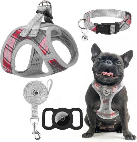 Miniatura 36 de EXPAWLORER Arnés Clásico de Plátanos para Cachorros - Juego de Arnés y Correa para Perros Pequeños - Juego de Collar y Correa para Perros con Azul