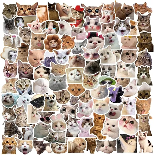 100 calcomanías divertidas de gatos, lindos gatos, calcomanías de meme para botella de agua, laptop, calcomanía de gato para equipaje, patineta,