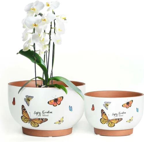 Miniatura 20 de Macetas de terracota con orificios de drenaje con decoración de abejas, macetas de cerámica para plantas de interior y exterior, suculentas