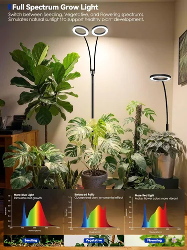Miniatura 2 de GLOWRIUM Luces de Crecimiento para Plantas de Interior, Lámpara de Pie LED de Espectro Completo con Soporte de Altura y Ángulo Ajustables, Luz