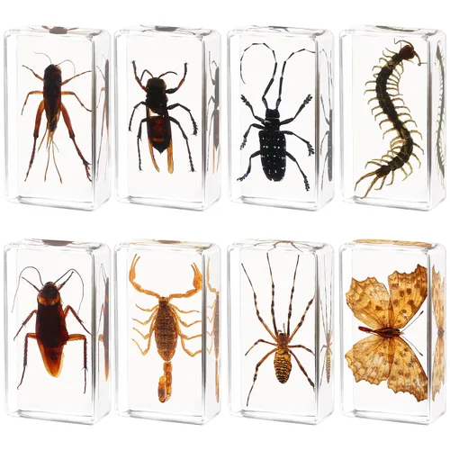 Miniatura 6 de Juego de 20 muestras de insectos en resina, colección de insectos, pisapapeles, arácnidos, resina de arácnidos, diferentes tipos o tamaños, insecto
