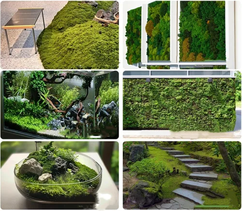 Miniatura 7 de Musgo artificial de 5.3 onzas/5.29 oz, musgo verde falso para plantas en maceta, manualidades, jardines de hadas, fiesta de boda