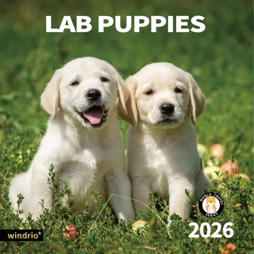 Miniatura 8 de Calendario de Pared 2026, Calendario 2026, noviembre de 2025 a diciembre de 2026, Calendario de Pared Beagles, 12" x 24" abierto, página completa