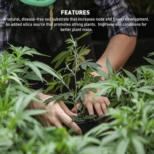Miniatura 6 de EasyGo Product Harvest Hero Perlita con sílice para mezcla de tierra para macetas, esquejes de raíces, recipientes y cultivo hidropónico, grado