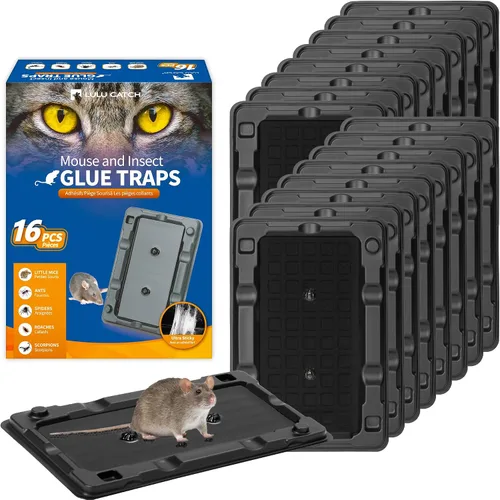 Miniatura 11 de LULUCATCH Trampa adhesiva para ratones, paquete de 12 trampas de pegamento grandes, precebadas, resistentes y no tóxicas, trampas para ratones