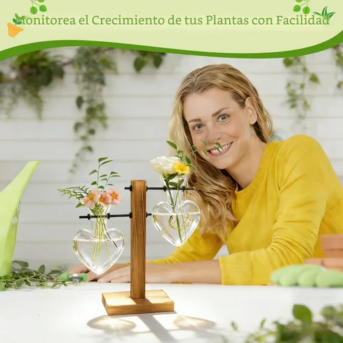 Miniatura 8 de HUABEI - Terrario con soporte de madera para plantas, globo de cristal para maceta, jarrón giratorio de metal, soporte de mesa retro