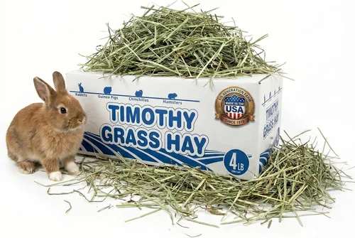 High Desert Heno Timothy de primer corte para conejos, cobayas y mascotas pequeñas, heno de hierba prémium para alimentación diaria y salud