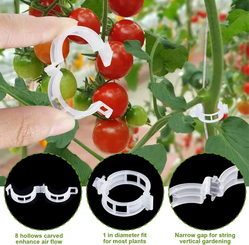 Miniatura 4 de 20 ganchos de tomate con cuerda, ganchos de soporte de tomate, ganchos de soporte de tomate y clips de soporte para plantas con cordel de 33.3 pies