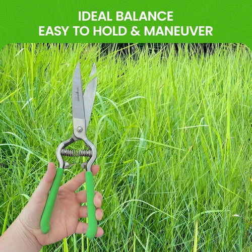 Miniatura 3 de GARDEN GURU Tijeras de mano para cortar césped, podadoras clásicas de acero forjado, asas de agarre cómodo, perfectas para bordes de césped a mano