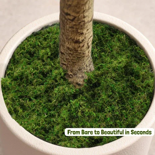 Miniatura 3 de USMOLA Musgo verde para manualidades, musgo falso de 4 onzas para plantas de interior, terrarios, jardines de hadas y exhibiciones de mesa, perfecto
