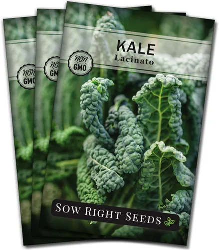 Miniatura 8 de Sow Right Seeds - Semilla de col rizada Lacinato para plantar - Paquete de reliquia sin OMG con instrucciones para plantar un huerto casero