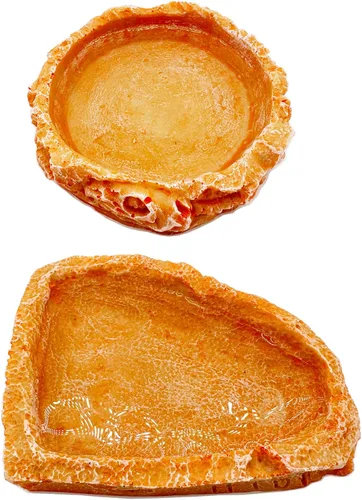 Miniatura 4 de Plato de agua para reptiles, cuencos de dragón barbudo, paquete de 2 cuencos de comida para reptiles para cangrejo ermitaño, dragón barbudo