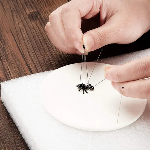 Miniatura 5 de WILLBOND Kit de 500 pines de acero inoxidable para insectos, pasadores de entomología, colecciones de mariposas, paquete variado para entomología