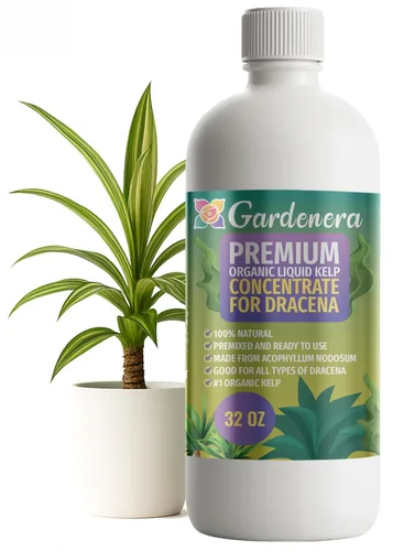Miniatura 39 de GARDENERA Superalimento orgánico prémium de algas marinas y algas marinas para plantas AGLAONEMA, 8 onzas, concentrado de fertilizante líquido