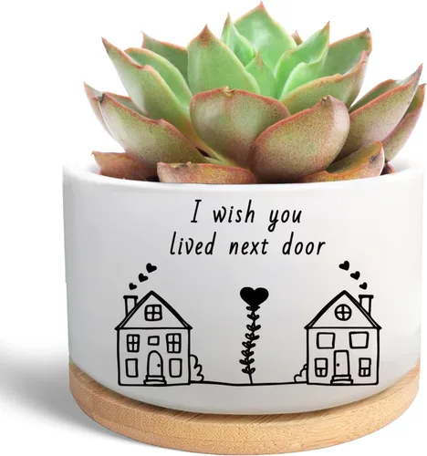 Regalos para Amigas, Desearía Que Vivieras al Lado, Linda Maceta de Suculenta, Maceta de Flores, Regalos de Amistad para Relación a Larga Distancia