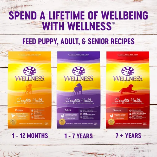 Miniatura 5 de Wellness Complete Health - Paquete de alimentos secos y húmedos para perros: alimento seco natural con granos saludables, pollo y avena, bolsa de 5