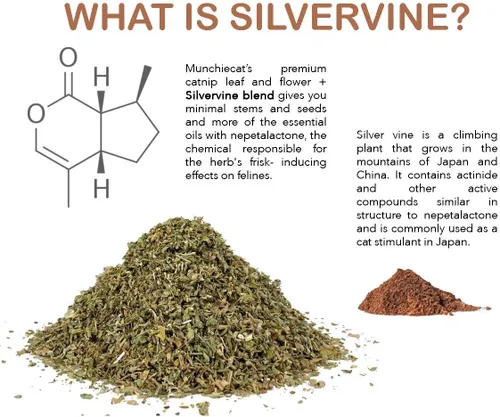 Miniatura 3 de Feline Fantasy Blend, Silvervine: hierba gatera americana orgánica certificada por USDA con Silvervine Matatabi, 1 taza de recambio – Respetuoso