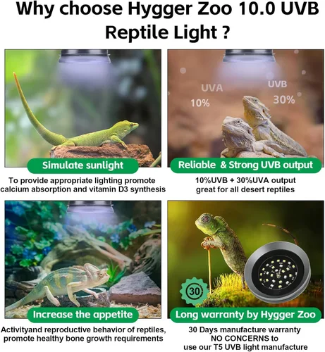 Miniatura 4 de Luz UVB para Reptiles con Atenuación, Foco de Luz LED UVB para Dragón Barbudo, Gecko, Lagarto, Tortuga, Serpiente, Luminosidad Ajustable, Lámpara