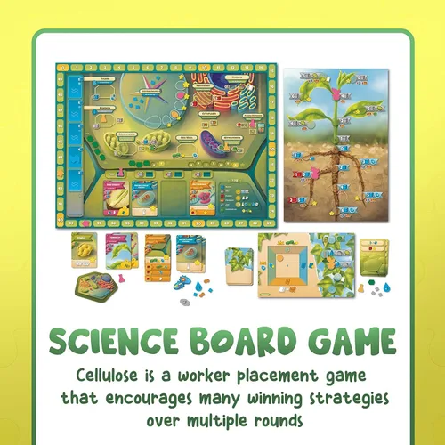 Miniatura 4 de Celulosa: un juego de biología celular vegetal Mensa recomienda un juego estratégico y entretenido para aprender fotosíntesis, ADN y bioquímica