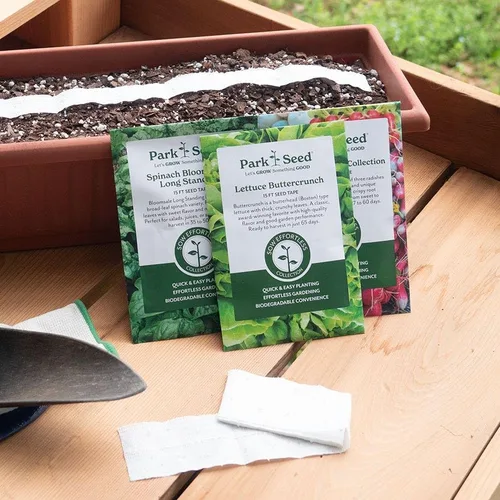 Miniatura 3 de Park Seed Sembrar cinta de semillas de colección Effortless – Mezcla de cactus gigante Zinnia 15 pies – Fácil siembra de bricolaje, flores vibrantes