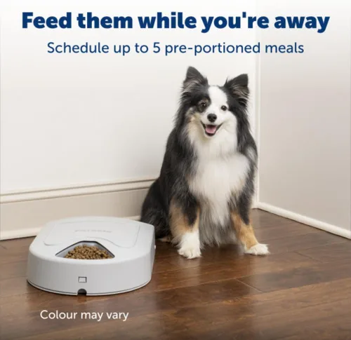 Miniatura 2 de Alimentador automático para perros PetSafe, 5 comidas, capacidad de 40 oz, plástico, para alimentos secos, para múltiples mascotas