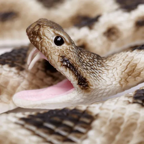 Miniatura 3 de Serpiente de cascabel diamantina del este Incredible Creatures de Safari Ltd