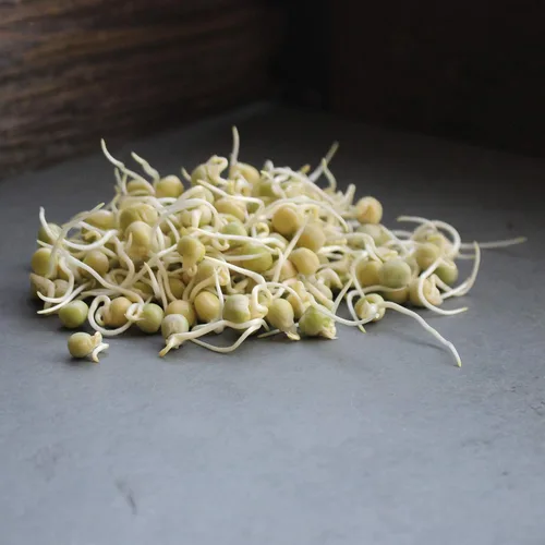 Miniatura 4 de Semilla de germinación de guisantes verdes – Marca de 5 libras – Guisante verde para brotes, plantación de jardín, cocina, sopa, almacenamiento