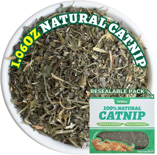 Wellix Hierba gatera fresca para gatos, hojas secas naturales, flores y tallos, aroma fresco, utilizado como golosinas o juguetes recargables para
