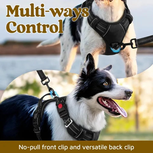 Miniatura 3 de rabbitgoo Arnés para perro de tamaño pequeño, chaleco para perro sin tirones con 3 hebillas, arnés ajustable y acolchado suave para mascotas con asa