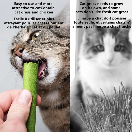 Miniatura 5 de 20 bocadillos de hierba para gatos (3.53 oz), aperitivos liofilizados, hierba gatera, para el cuidado dental del gato y eliminación de bolas