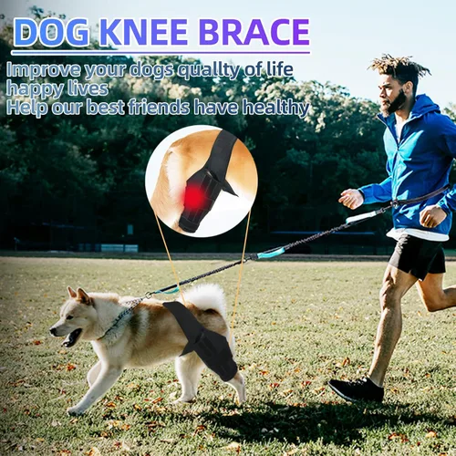 Miniatura 2 de Rodillera L para perro para pierna trasera de acl desgarrada para apoyo con lesiones de ligamento cruzado, mejor recuperación con soportes de pierna