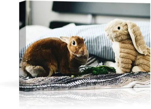 Miniatura 14 de NWT - Fotografía personalizada sobre lienzo con diseño de mascota y animal