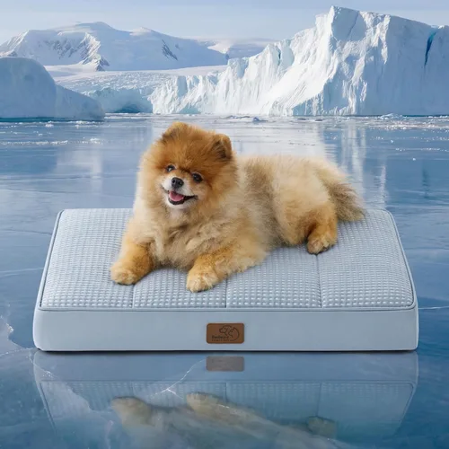 Miniatura 51 de Bedsure Camas para Perros Tamaño Grande - Cómodas Camas Planas para Mascotas con Funda Lavable Extraíble, Alfombrilla de Espuma Ortopédica