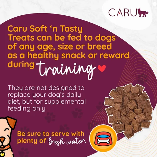 Miniatura 2 de Caru Soft n' Tasty Baked Bites Salmon Bites - Golosinas para perros para entrenamiento, carne real con arándanos y arándanos, bolsas de 4 onzas