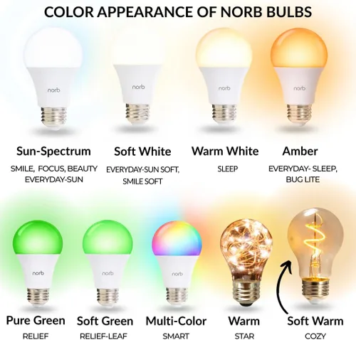 Miniatura 9 de Norb Cadena solar, bombillas LED de repuesto de 1 W CC para luces de cadena alimentadas por energía solar. Espectro relajante acogedor de Norb.
