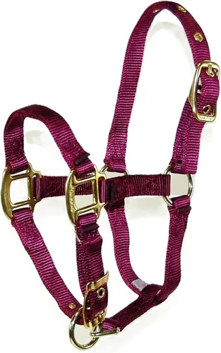 Miniatura 21 de Hamilton Caballo de lujo Halter, nailon de triple capa de 3/4 pulgadas con correa ajustable para la barbilla, potro o mini caballo, 100-200 libras