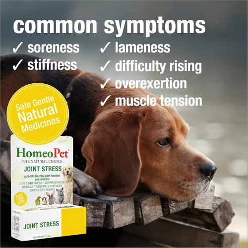 Miniatura 3 de HomeoPet Estrés articular, apoyo articular para perros y gatos, medicamentos líquidos para mascotas para apoyar el movimiento saludable