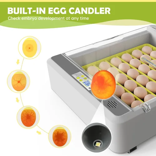 Miniatura 5 de Incubadora de huevos para incubar pollos, girador automático de 36 huevos con control de temperatura y humedad, vista panorámica multifuncional