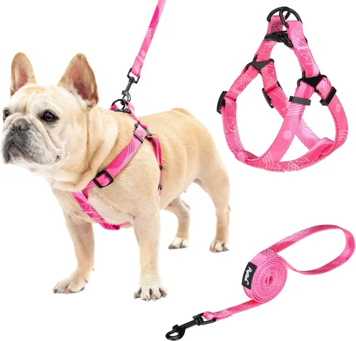 Miniatura 42 de PUPTECK arnés para perro para no jalar, reflejante, ajustable, básico, de nailon, chaleco para cachorro, para caminar al aire libre con etiqueta
