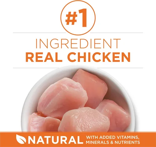 Miniatura 2 de Purina ONE Alto en Proteína, Fórmula Saludable Plus Ideal con Pollo, Alimento Seco para Gatos, Fórmula de Control - Bolsa de 7 lb