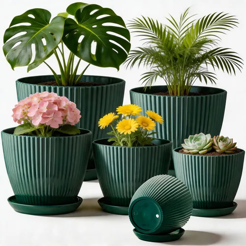 Miniatura 7 de RooTrimmer Macetas de Plástico Engrosado Negro de 7.5 Pulgadas con Platillos, Paquete de 6 Maceteros Modernos para Plántulas para Plantas