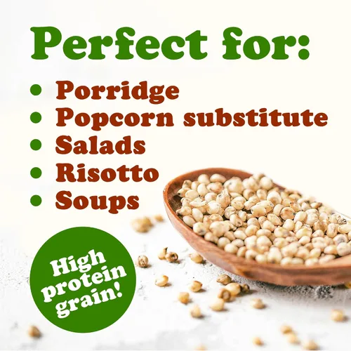 Miniatura 7 de Food to Live Grano orgánico de sorgo blanco de Great Plains, 1.5 libras, granos antiguos enteros. Alto en fibra. Sin OMG. Semillas de milo. Veganas